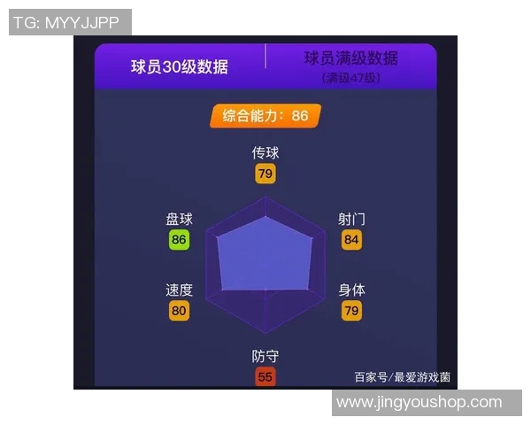 北京网球队灵活性分析与提升策略探讨 北京网球队灵活性分析与提升策略探讨