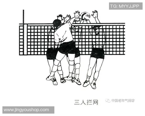 广州排球队技术分析与发展探讨聚焦排球竞技新趋势