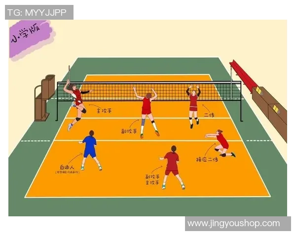 聚焦排球：南京排球队的战术话题