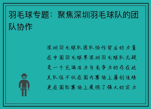 羽毛球专题：聚焦深圳羽毛球队的团队协作