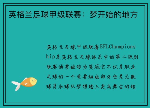 英格兰足球甲级联赛：梦开始的地方