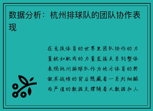 数据分析：杭州排球队的团队协作表现