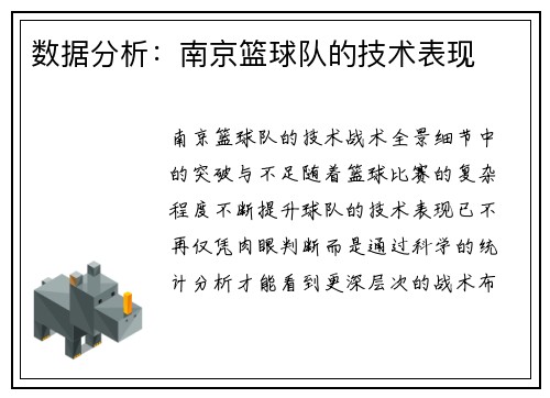 数据分析：南京篮球队的技术表现